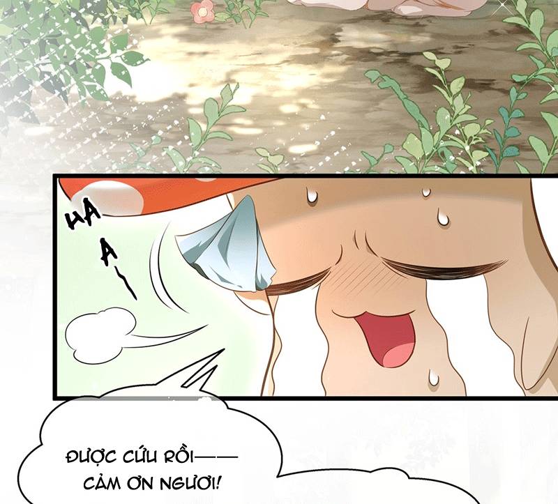 Tôi Trùng Sinh Trở Thành Tiểu Ác Long Của Vương Tử Điện Hạ - Chapter 15 - Page 11