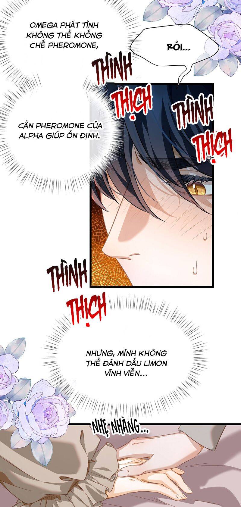 Tôi Trùng Sinh Trở Thành Tiểu Ác Long Của Vương Tử Điện Hạ - Chapter 30 - Page 26