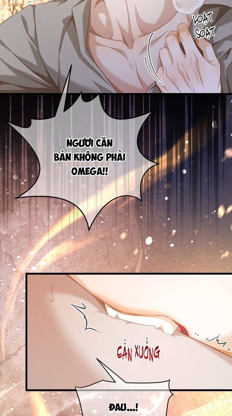 Tôi Trùng Sinh Trở Thành Tiểu Ác Long Của Vương Tử Điện Hạ - Chapter 31 - Page 11