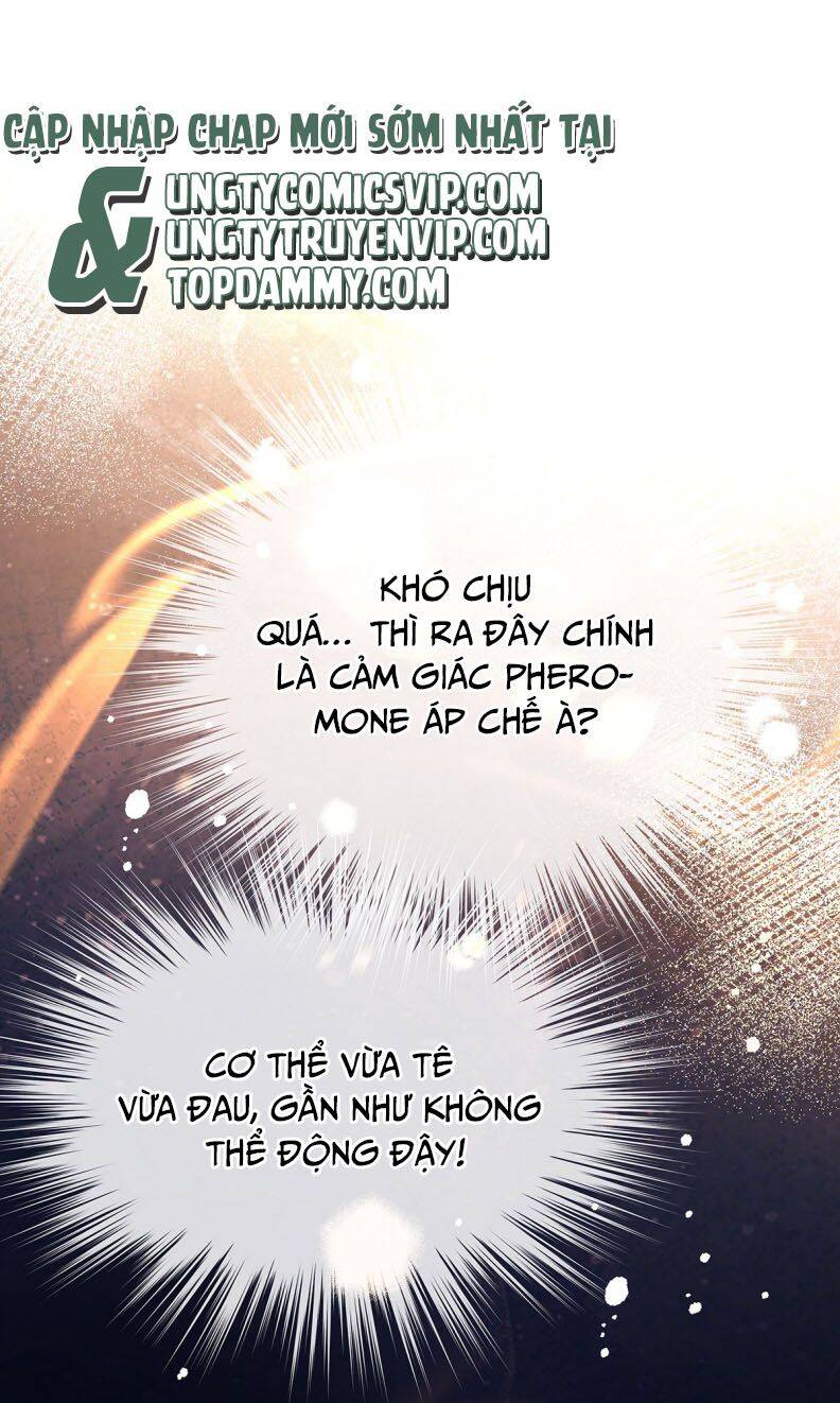 Tôi Trùng Sinh Trở Thành Tiểu Ác Long Của Vương Tử Điện Hạ - Chapter 31 - Page 9