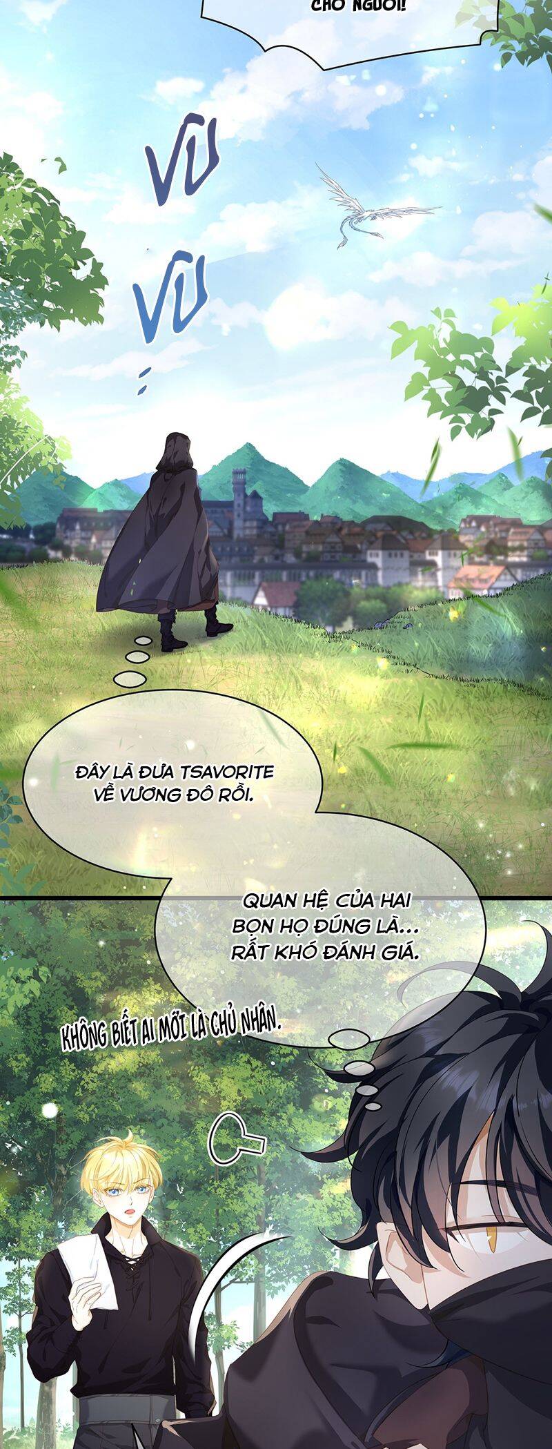 Tôi Trùng Sinh Trở Thành Tiểu Ác Long Của Vương Tử Điện Hạ - Chapter 44 - Page 13