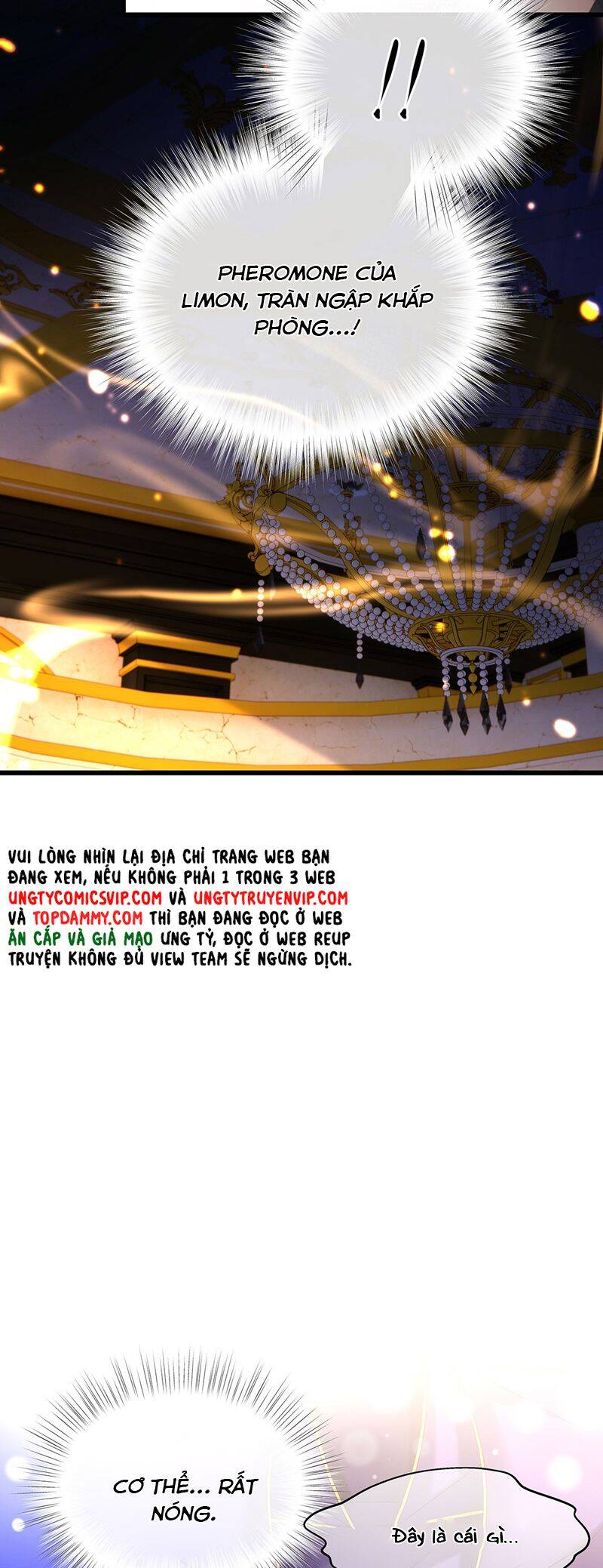 Tôi Trùng Sinh Trở Thành Tiểu Ác Long Của Vương Tử Điện Hạ - Chapter 50 - Page 5