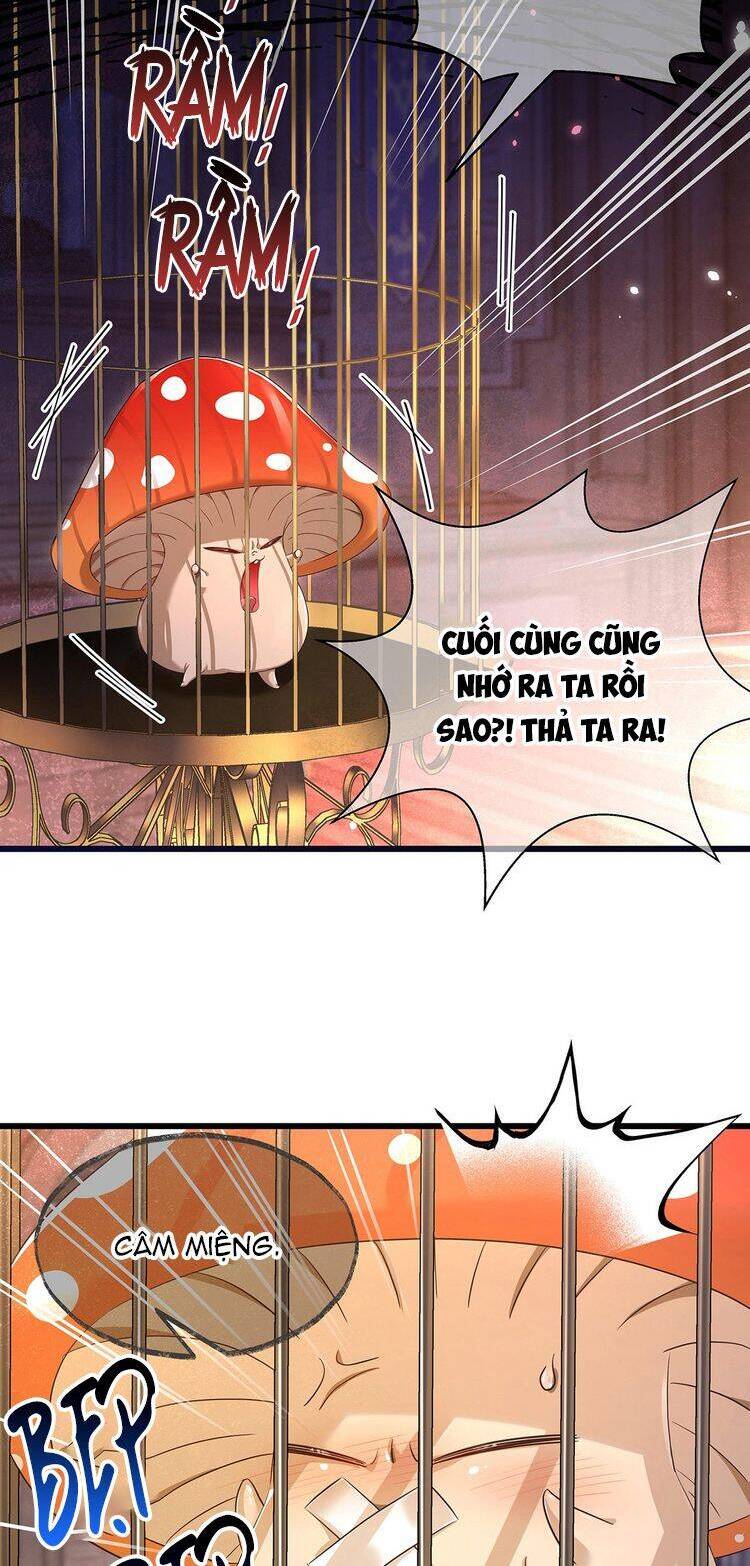 Tôi Trùng Sinh Trở Thành Tiểu Ác Long Của Vương Tử Điện Hạ - Chapter 51 - Page 14