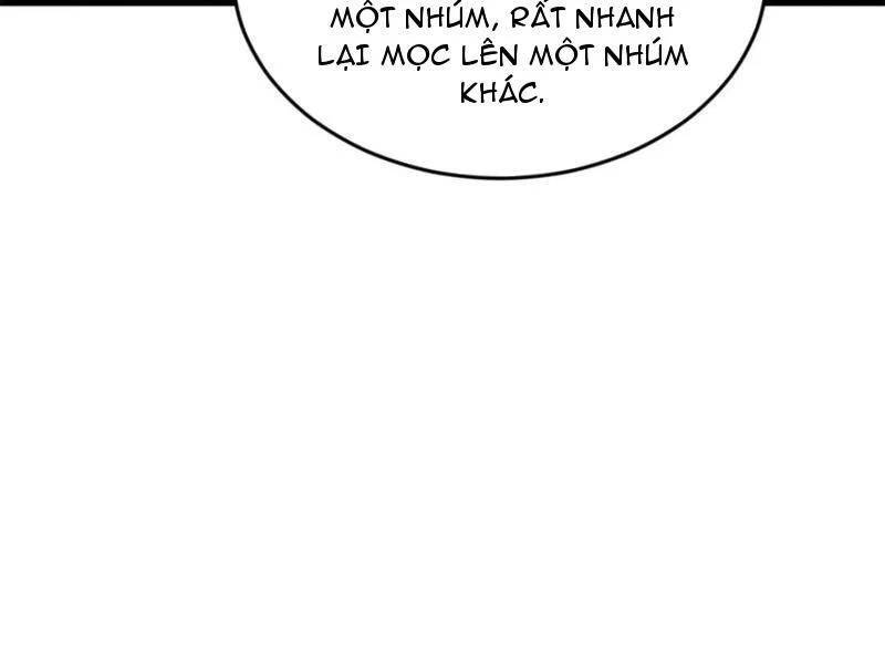 Chàng Rể Mạnh Nhất Lịch Sử - Chapter 252 - Page 39
