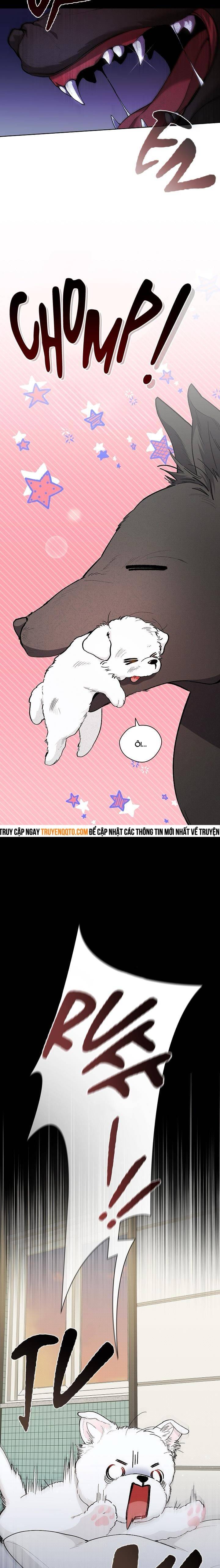 Đừng Đùa Với Cún Con - Chapter 1 - Page 4