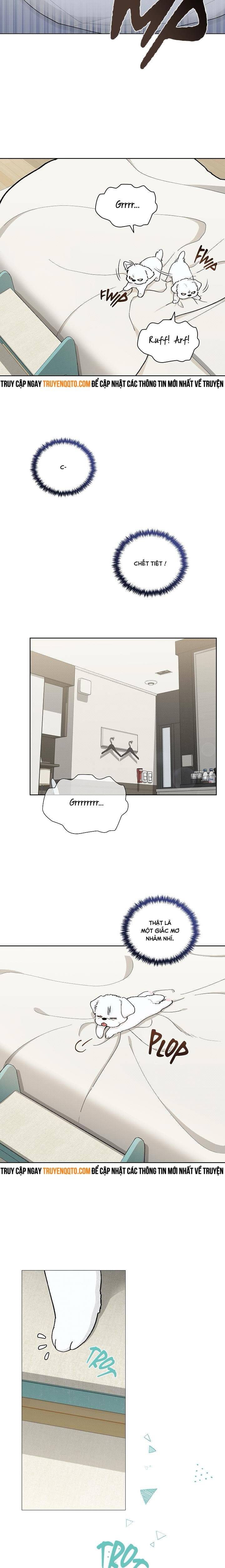 Đừng Đùa Với Cún Con - Chapter 1 - Page 5