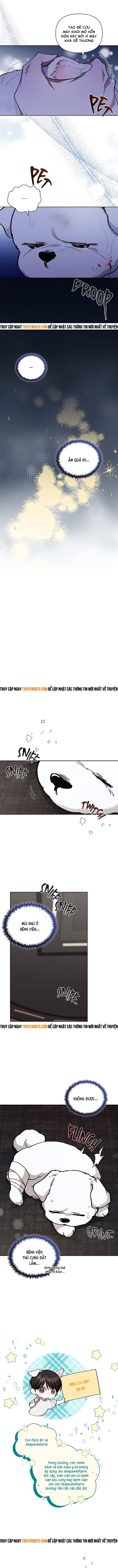 Đừng Đùa Với Cún Con - Chapter 3 - Page 16