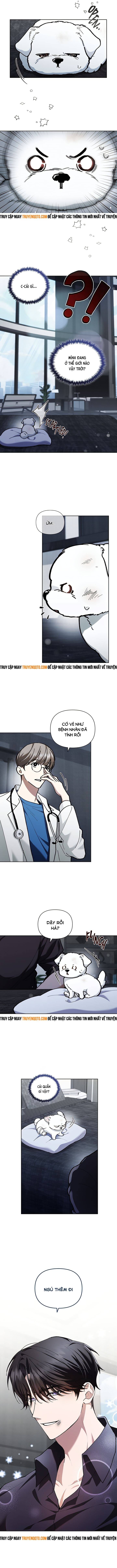 Đừng Đùa Với Cún Con - Chapter 3 - Page 17