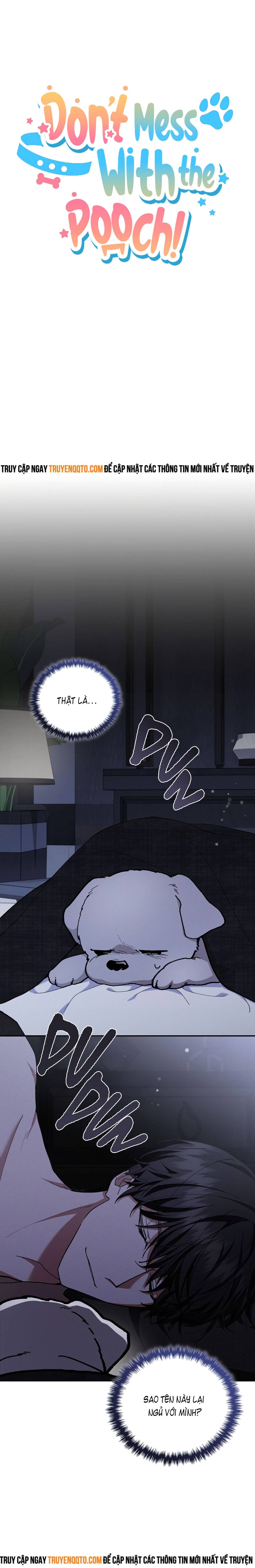 Đừng Đùa Với Cún Con - Chapter 4 - Page 6