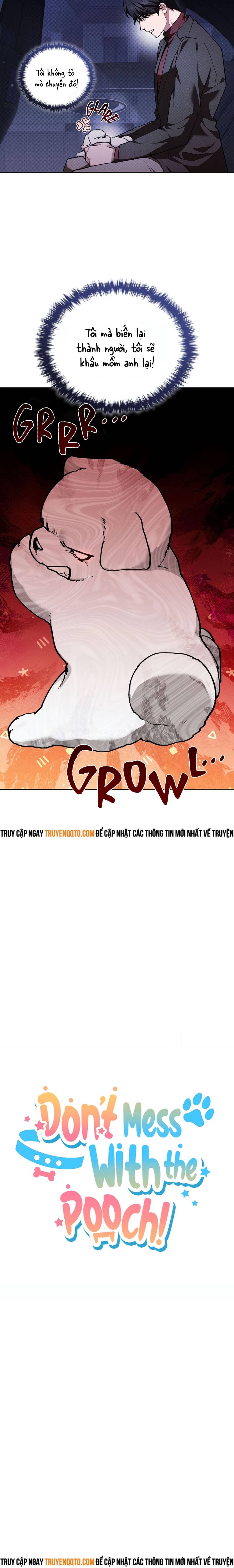 Đừng Đùa Với Cún Con - Chapter 6 - Page 12