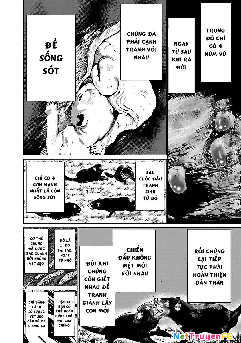 Killing Bites - Chapter 36 - Page 39