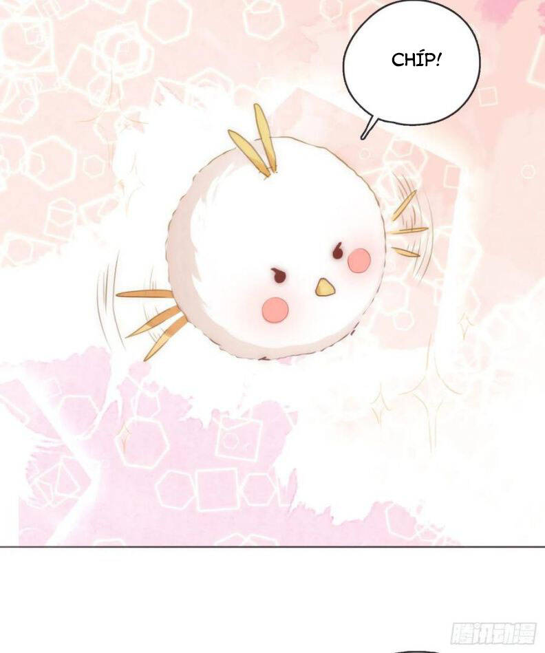 Thỉnh Cùng Ta Đồng Miên-Xin Hãy Ngủ Cùng Ta - Chapter 55 - Page 12