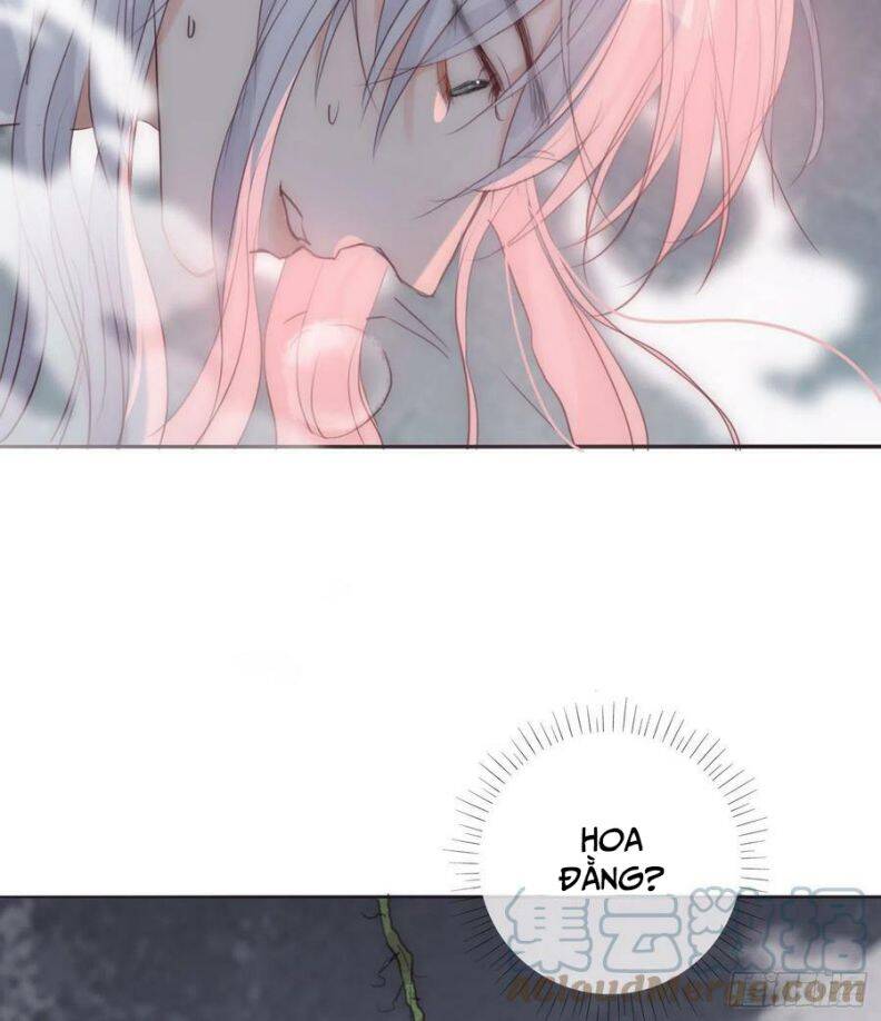 Thỉnh Cùng Ta Đồng Miên-Xin Hãy Ngủ Cùng Ta - Chapter 76 - Page 5