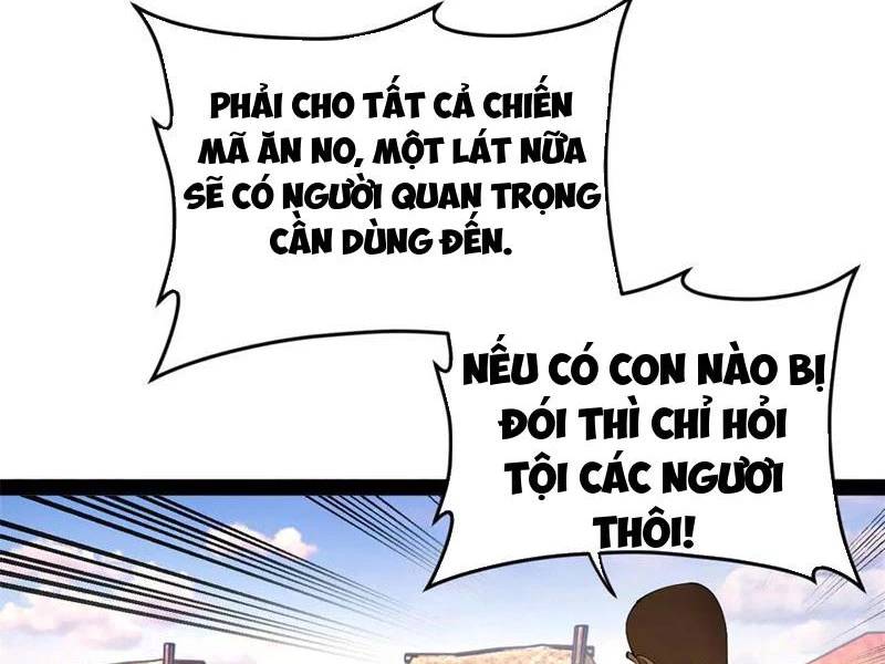 Chàng Rể Mạnh Nhất Lịch Sử - Chapter 253 - Page 3