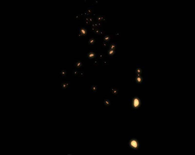 Không Cẩn Thận, Lưu Danh Muôn Thủa - Chapter 61 - Page 42