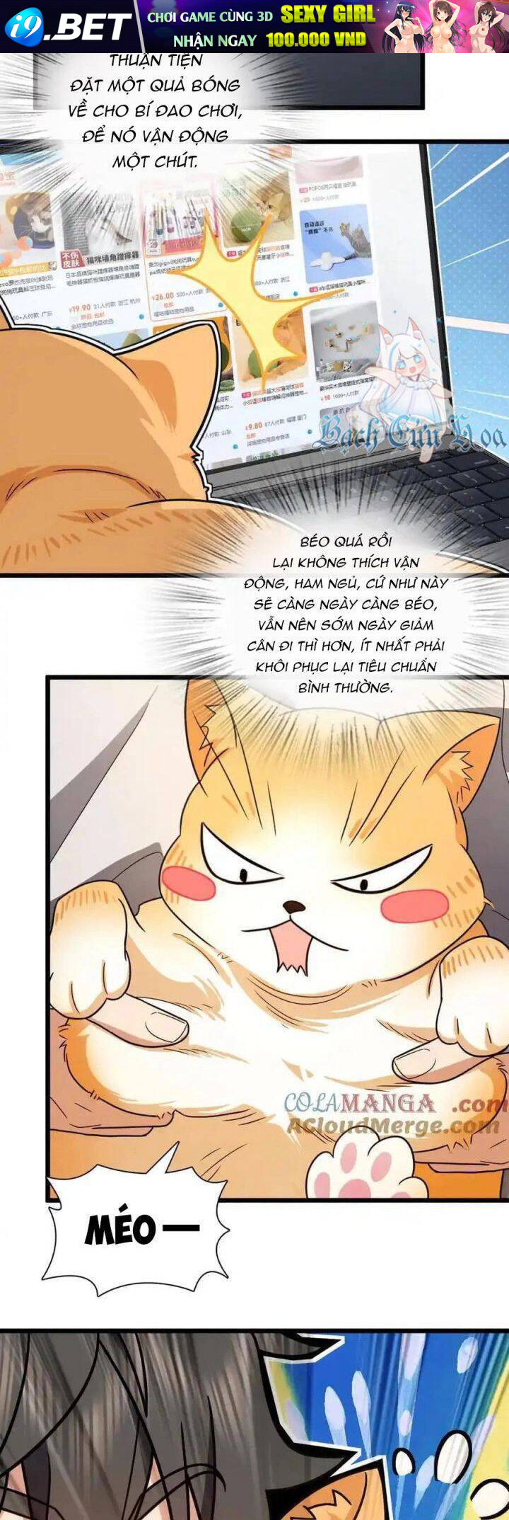 Bà Xã Nhà Tôi Đến Từ Ngàn Năm Trước - Chapter 284 - Page 27