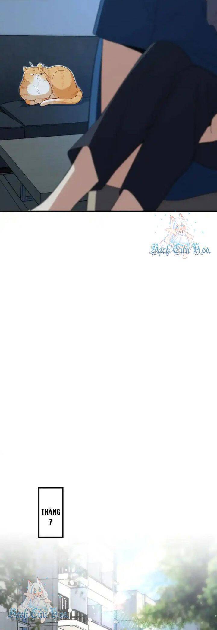 Bà Xã Nhà Tôi Đến Từ Ngàn Năm Trước - Chapter 315 - Page 24