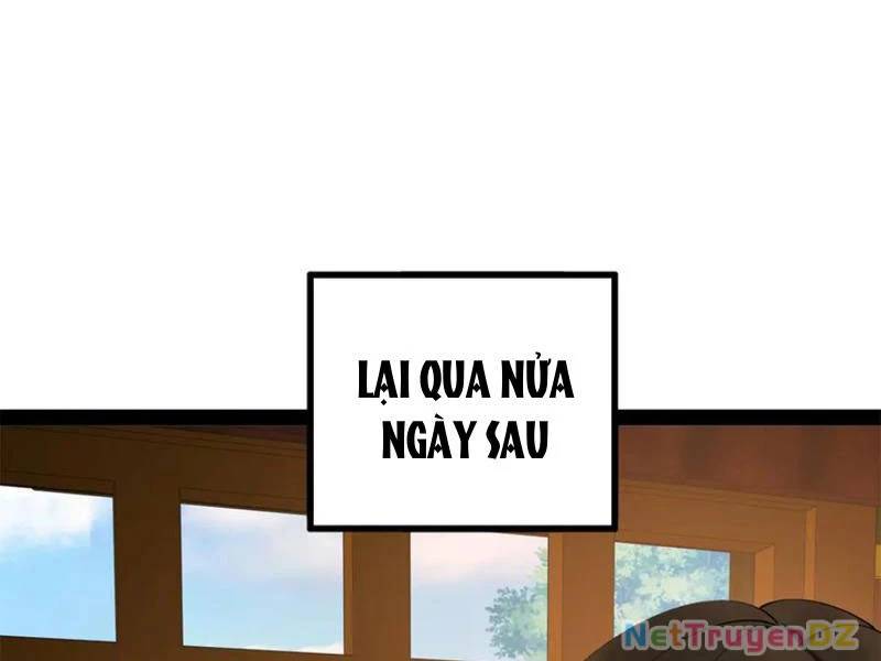 Chàng Rể Mạnh Nhất Lịch Sử - Chapter 255 - Page 15