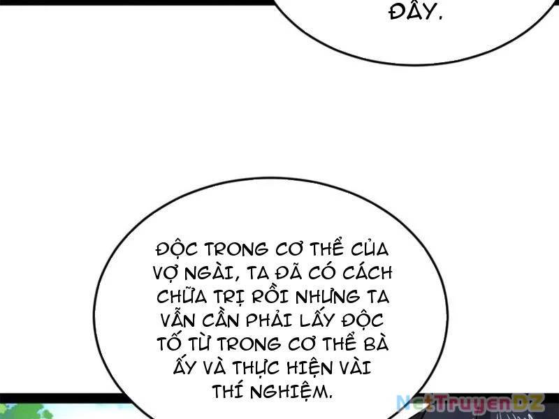 Chàng Rể Mạnh Nhất Lịch Sử - Chapter 255 - Page 27