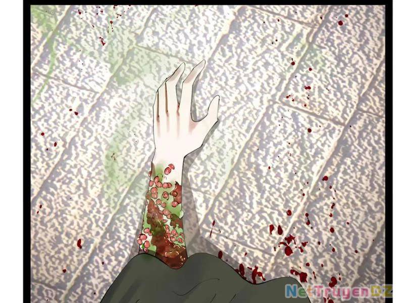 Chàng Rể Mạnh Nhất Lịch Sử - Chapter 255 - Page 72