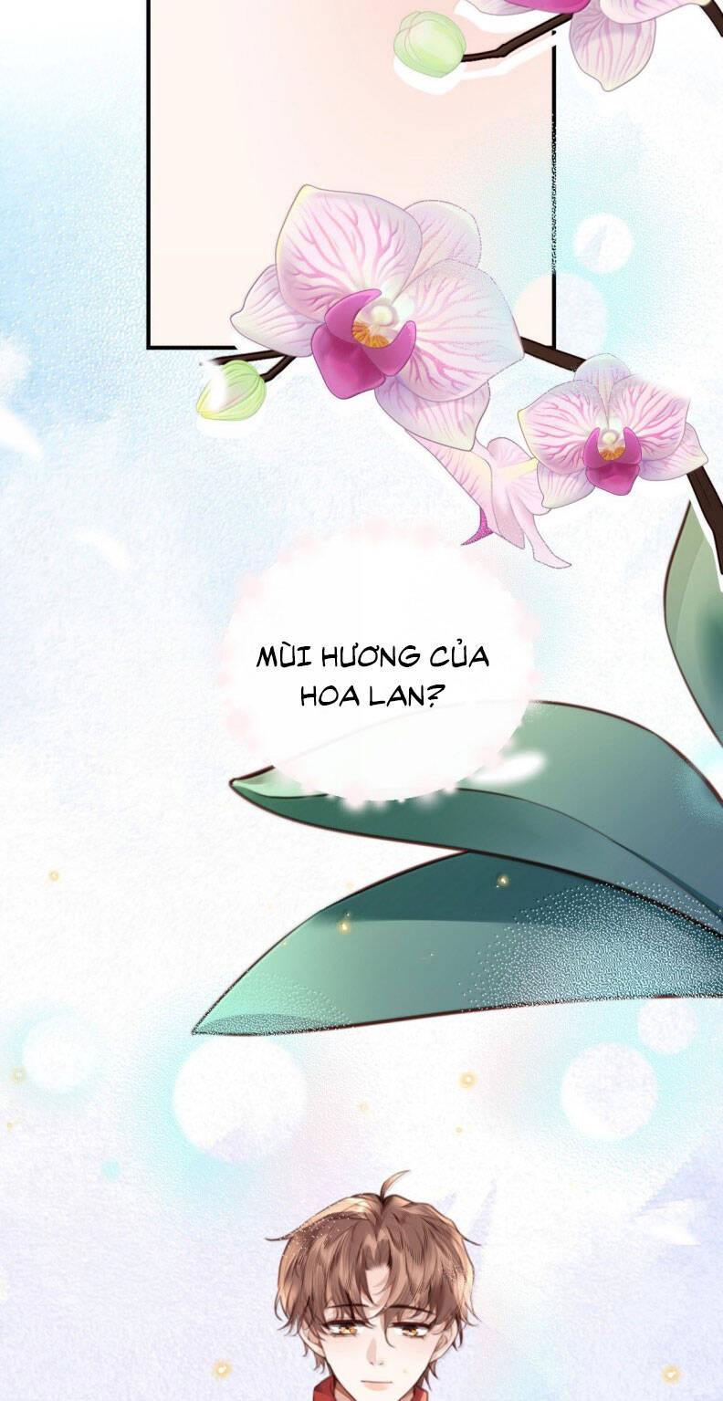 Tổng Tài Định Chế Tư Nhân - Chapter 122 - Page 24