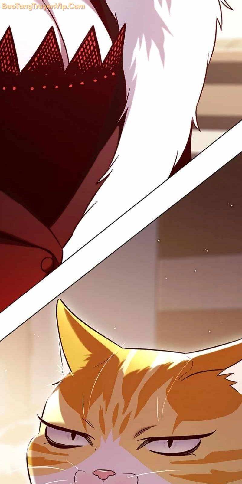 Hoá Thân Thành Mèo - Chapter 329 - Page 67