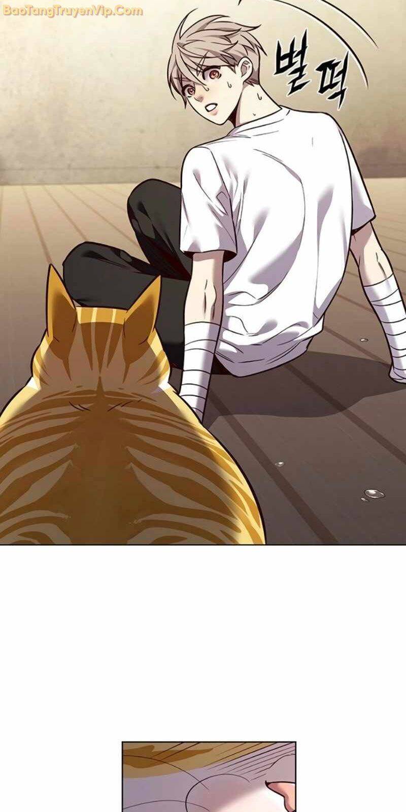 Hoá Thân Thành Mèo - Chapter 329 - Page 94