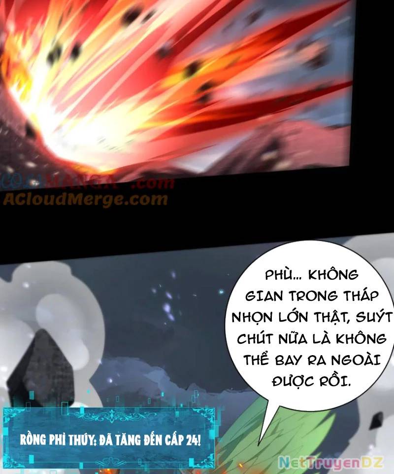 Toàn Dân Chuyển Chức Ngự Long Sư Là Chức Nghiệp Yếu Nhất - Chapter 78 - Page 4