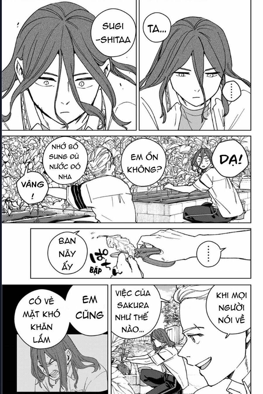 Wind Breaker - Chapter 165 - Page 14