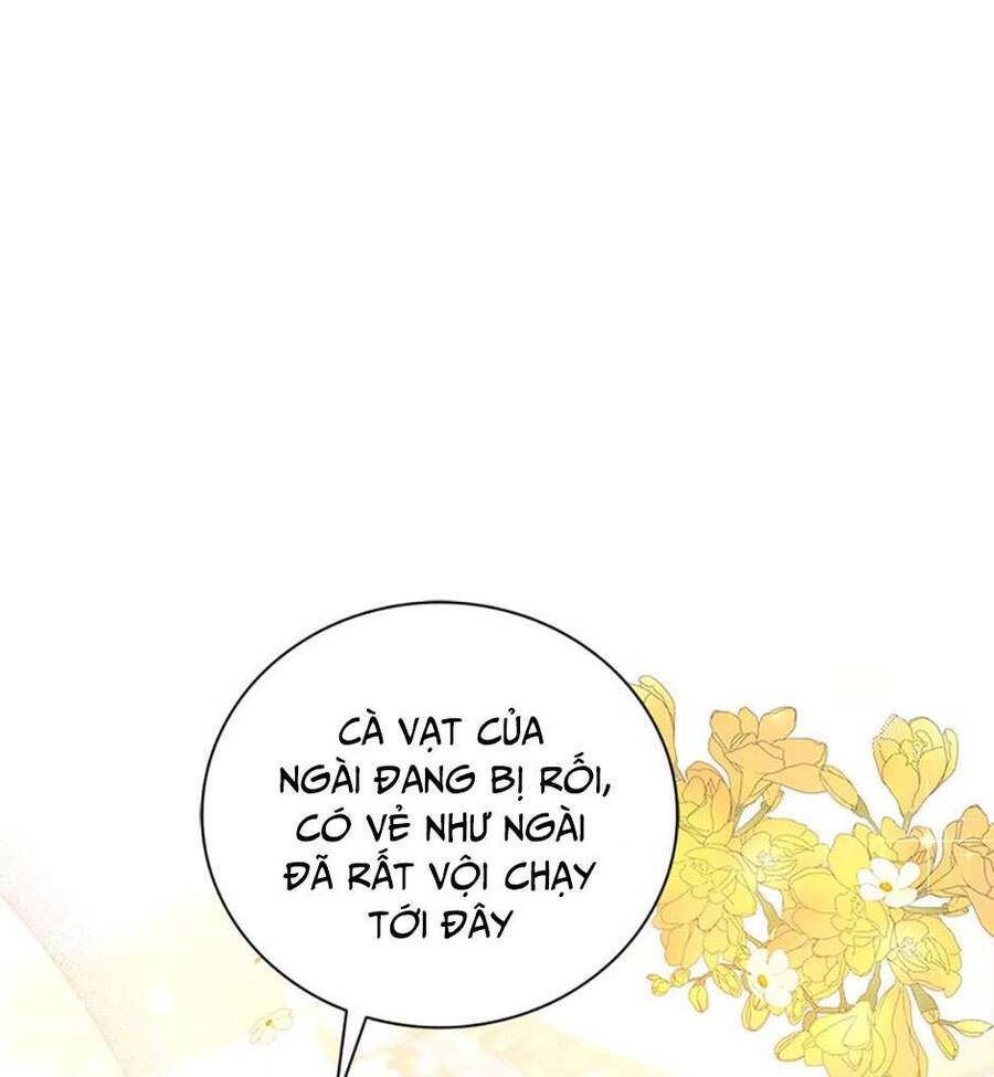 Hầu Gái Trong Trò Chơi Harem Ngược Muốn Nghỉ Việc - Chapter 5 - Page 81