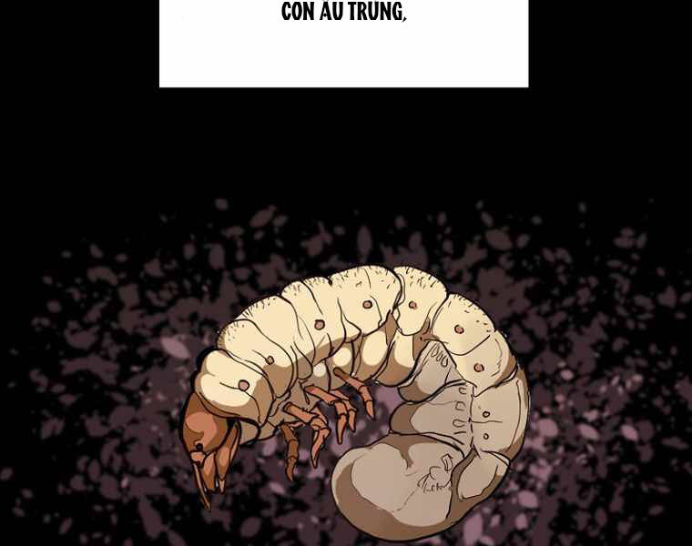 Hồi Quy Trở Lại Thành Kẻ Vô Dụng - Chapter 15 - Page 161