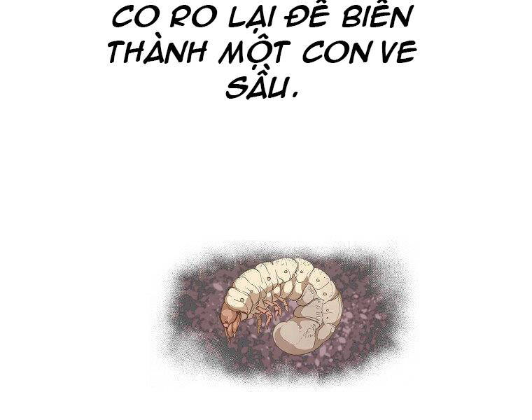 Hồi Quy Trở Lại Thành Kẻ Vô Dụng - Chapter 21 - Page 132