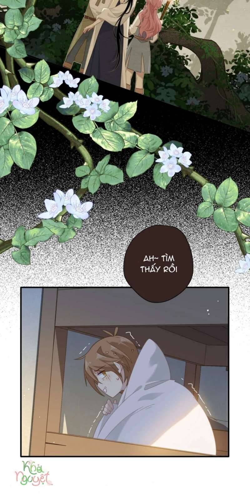 Xuyên Thành Phù Thủy Nuôi Dưỡng Kỵ Sĩ Thánh Điện - Chapter 12 - Page 13