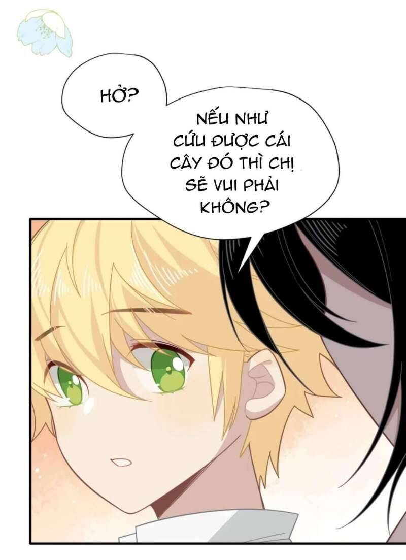 Xuyên Thành Phù Thủy Nuôi Dưỡng Kỵ Sĩ Thánh Điện - Chapter 13 - Page 19