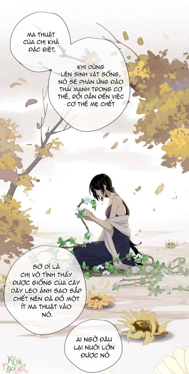 Xuyên Thành Phù Thủy Nuôi Dưỡng Kỵ Sĩ Thánh Điện - Chapter 13 - Page 6