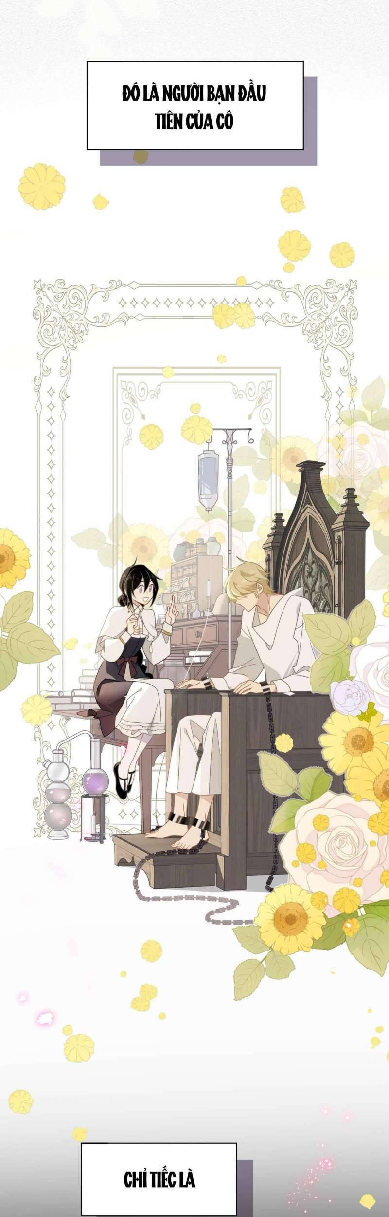 Xuyên Thành Phù Thủy Nuôi Dưỡng Kỵ Sĩ Thánh Điện - Chapter 28 - Page 30