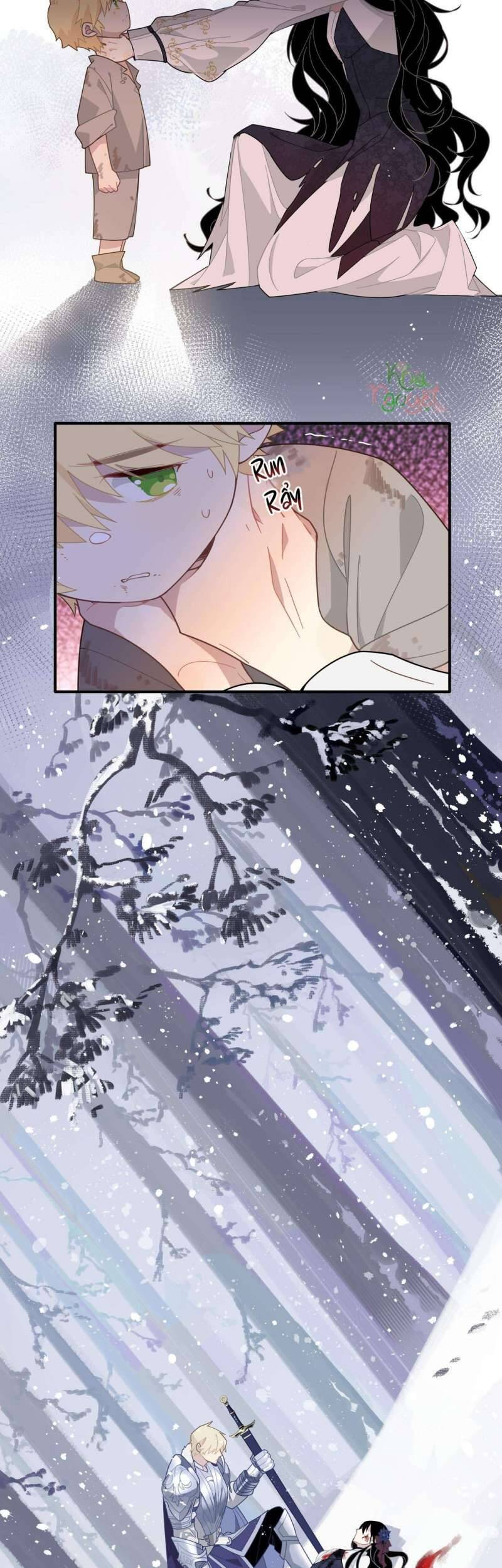 Xuyên Thành Phù Thủy Nuôi Dưỡng Kỵ Sĩ Thánh Điện - Chapter 3 - Page 23