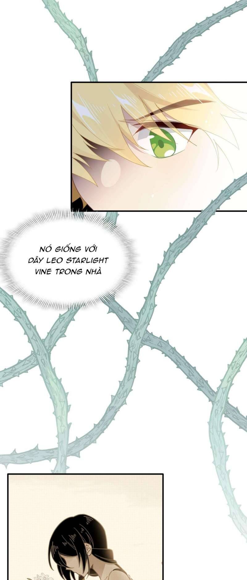 Xuyên Thành Phù Thủy Nuôi Dưỡng Kỵ Sĩ Thánh Điện - Chapter 34 - Page 22