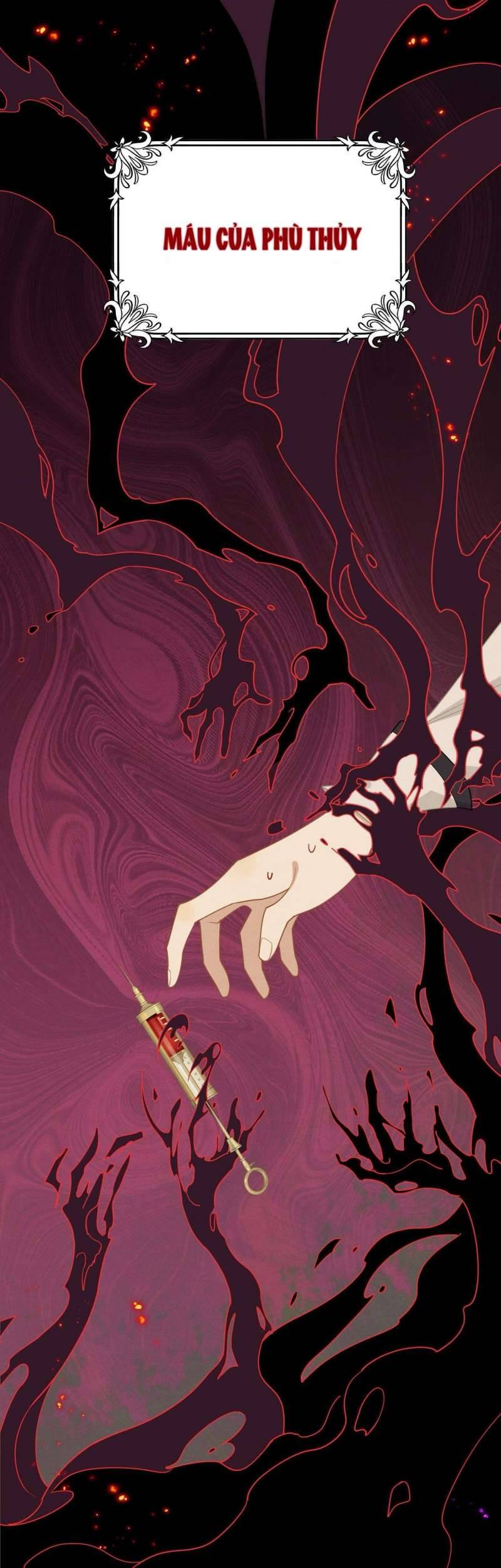 Xuyên Thành Phù Thủy Nuôi Dưỡng Kỵ Sĩ Thánh Điện - Chapter 36 - Page 11