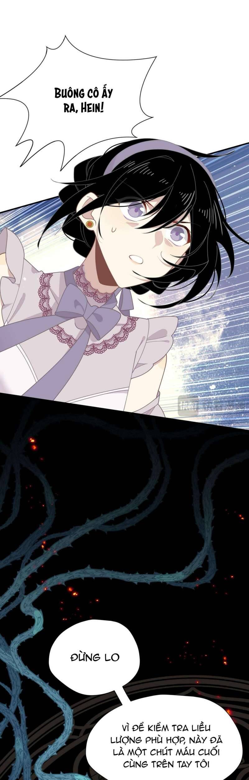 Xuyên Thành Phù Thủy Nuôi Dưỡng Kỵ Sĩ Thánh Điện - Chapter 37 - Page 34