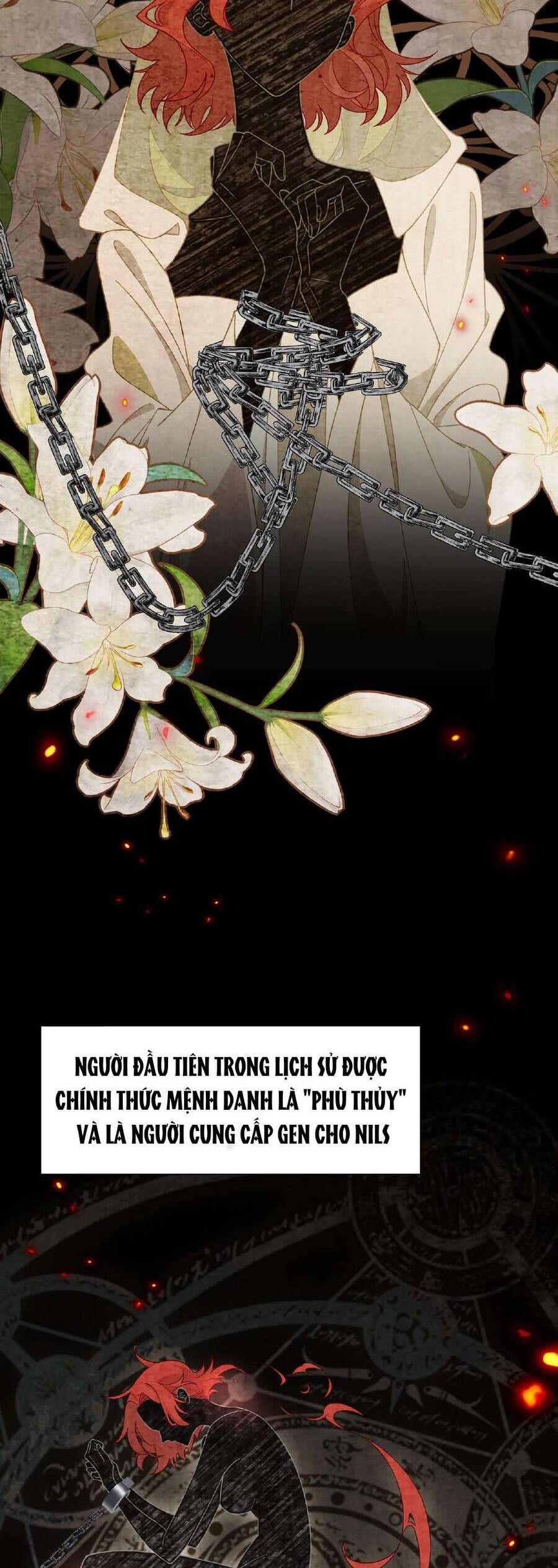 Xuyên Thành Phù Thủy Nuôi Dưỡng Kỵ Sĩ Thánh Điện - Chapter 41 - Page 5