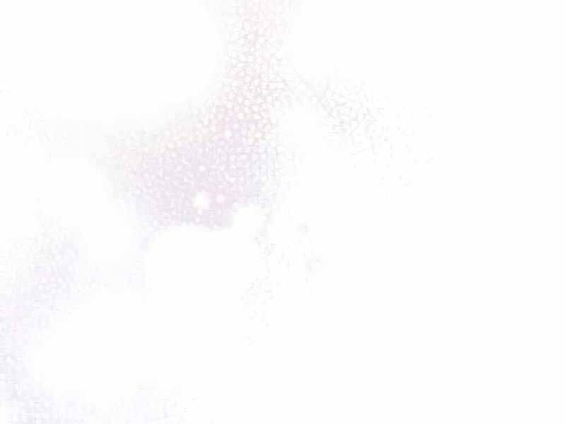 Ký Sự Hồi Quy - Chapter 117 - Page 150