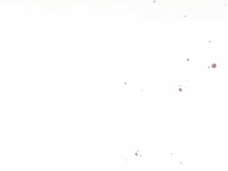 Ký Sự Hồi Quy - Chapter 117 - Page 215