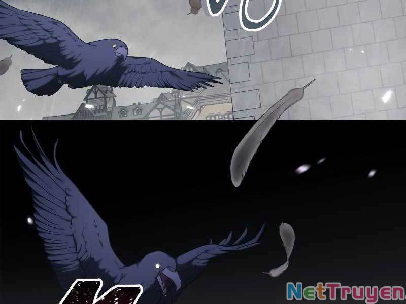 Ký Sự Hồi Quy - Chapter 49 - Page 16