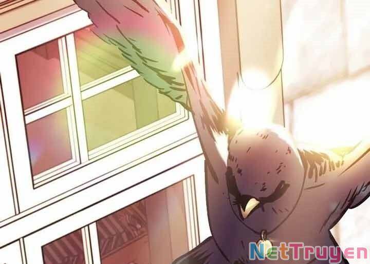 Ký Sự Hồi Quy - Chapter 55 - Page 232