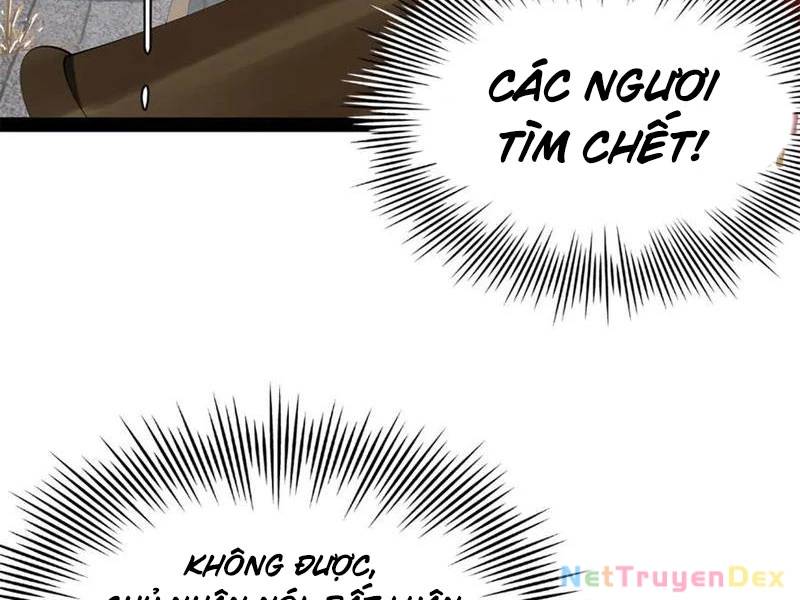Chàng Rể Mạnh Nhất Lịch Sử - Chapter 257 - Page 23