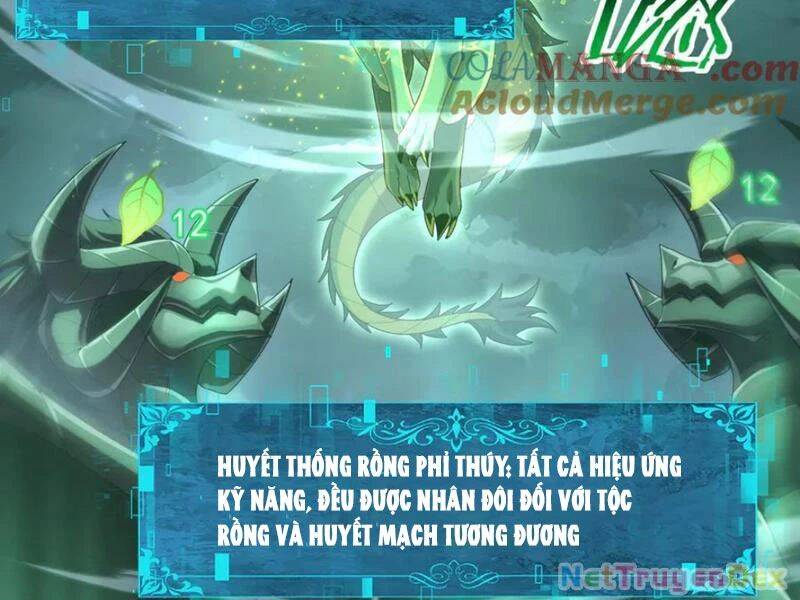 Toàn Dân Chuyển Chức Ngự Long Sư Là Chức Nghiệp Yếu Nhất - Chapter 79 - Page 67