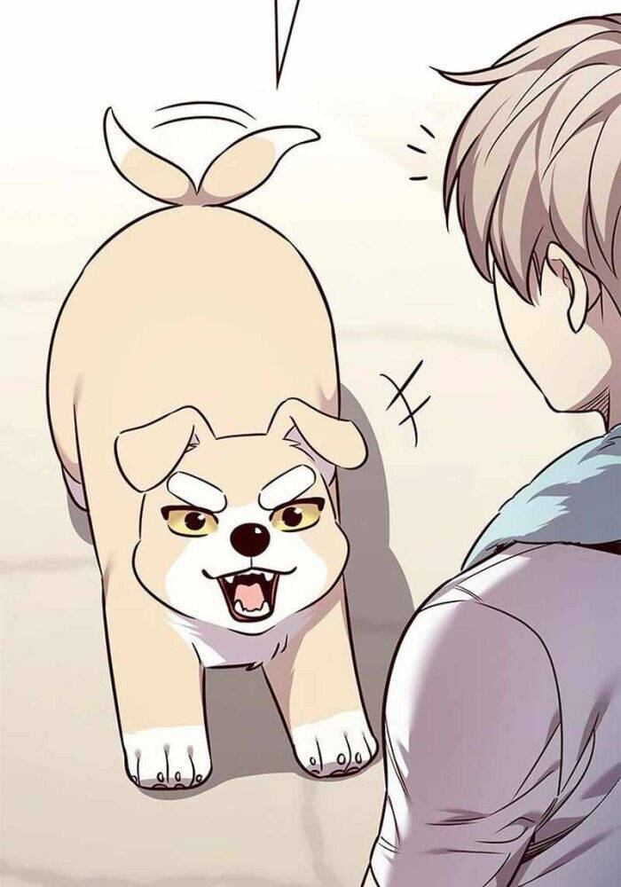 Hoá Thân Thành Mèo - Chapter 330 - Page 115