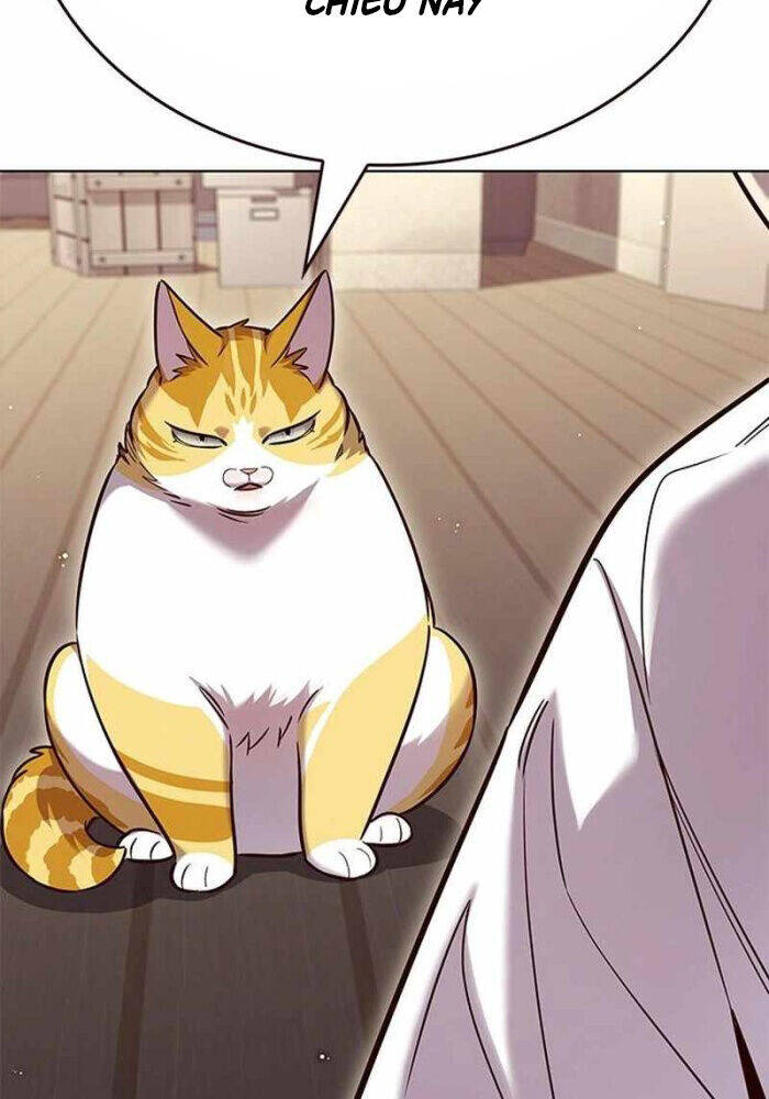 Hoá Thân Thành Mèo - Chapter 330 - Page 15