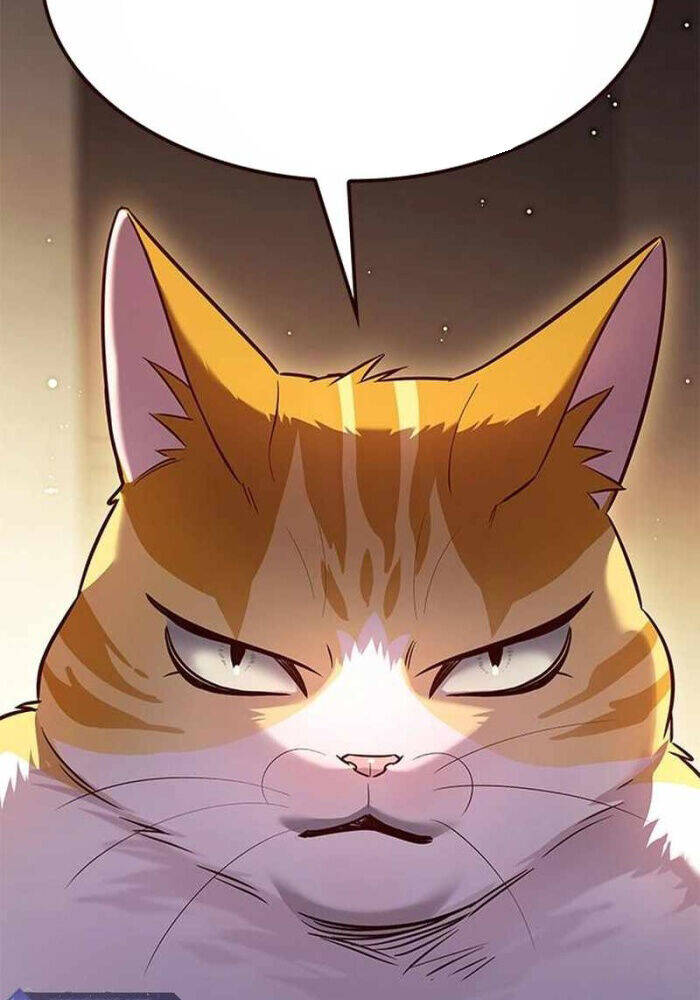 Hoá Thân Thành Mèo - Chapter 330 - Page 21